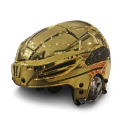 Warrior Helm Alpha One Pro Senior Gold