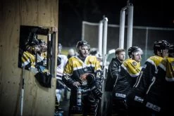 Das Offizielle Bitburger Eissportverein E.V. - Eifel-Mosel Bären Fan Trikot -Hockey-Ausrüstungsgeschäft 22467511 10159573542110193 555659634701881733 o 1